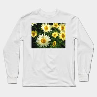 Daisy Flower Patch waking to the Morning Sunlight Long Sleeve T-Shirt